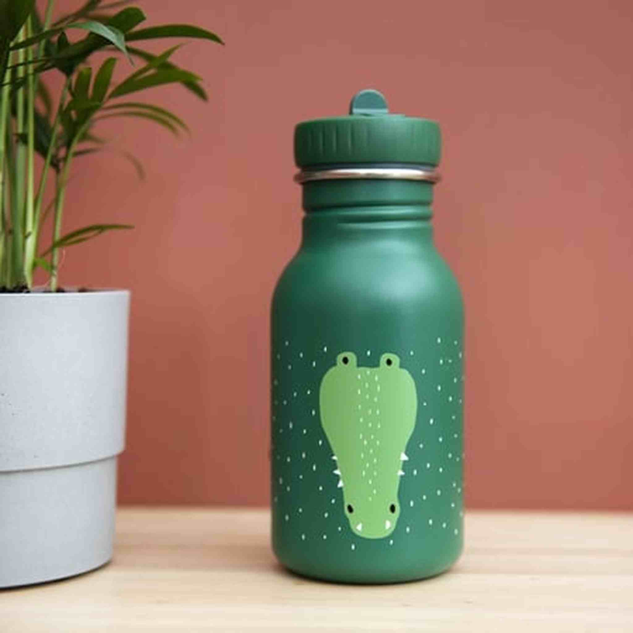 Gourde 350ml - Mr Crocodile