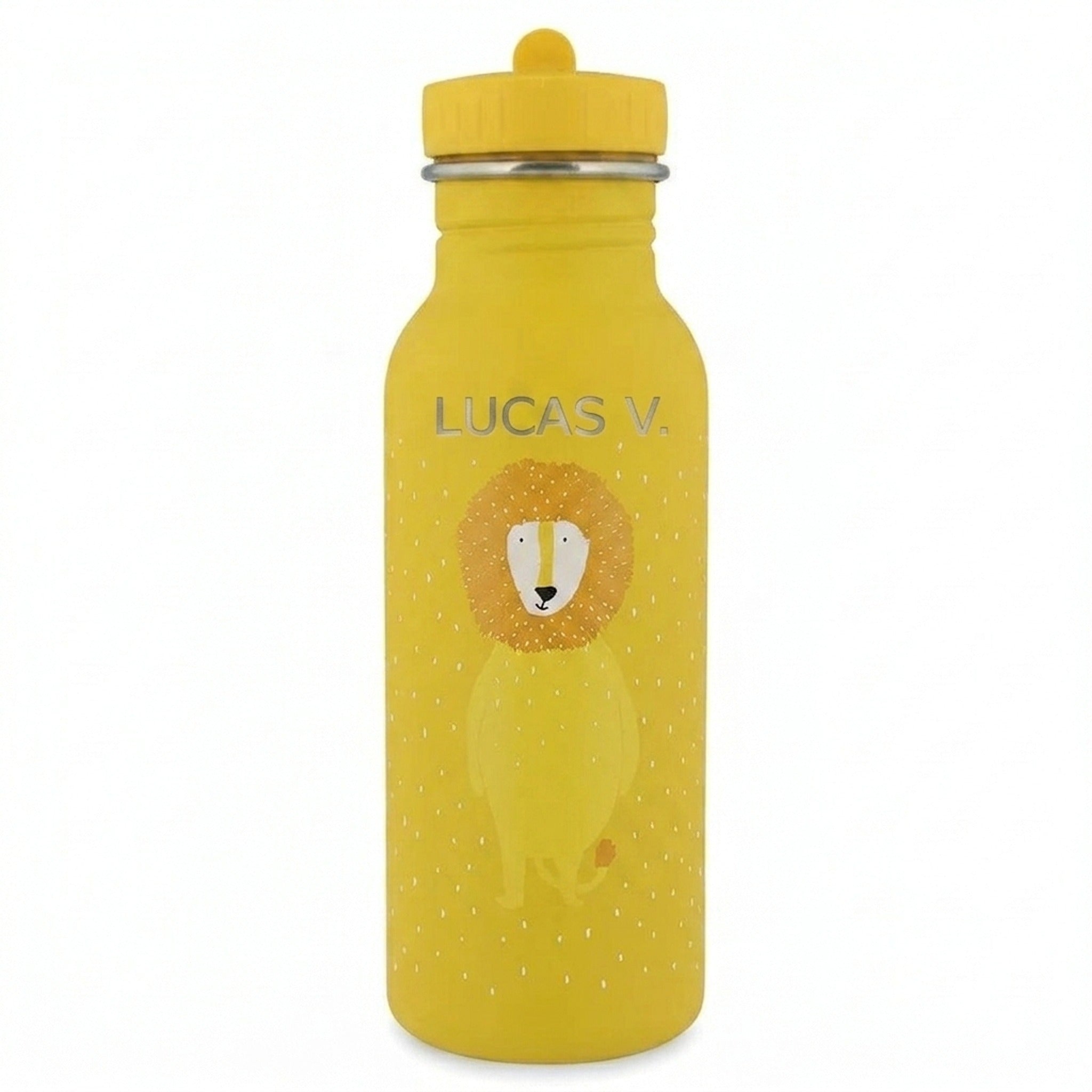 Gourde 500ml - Mr Lion