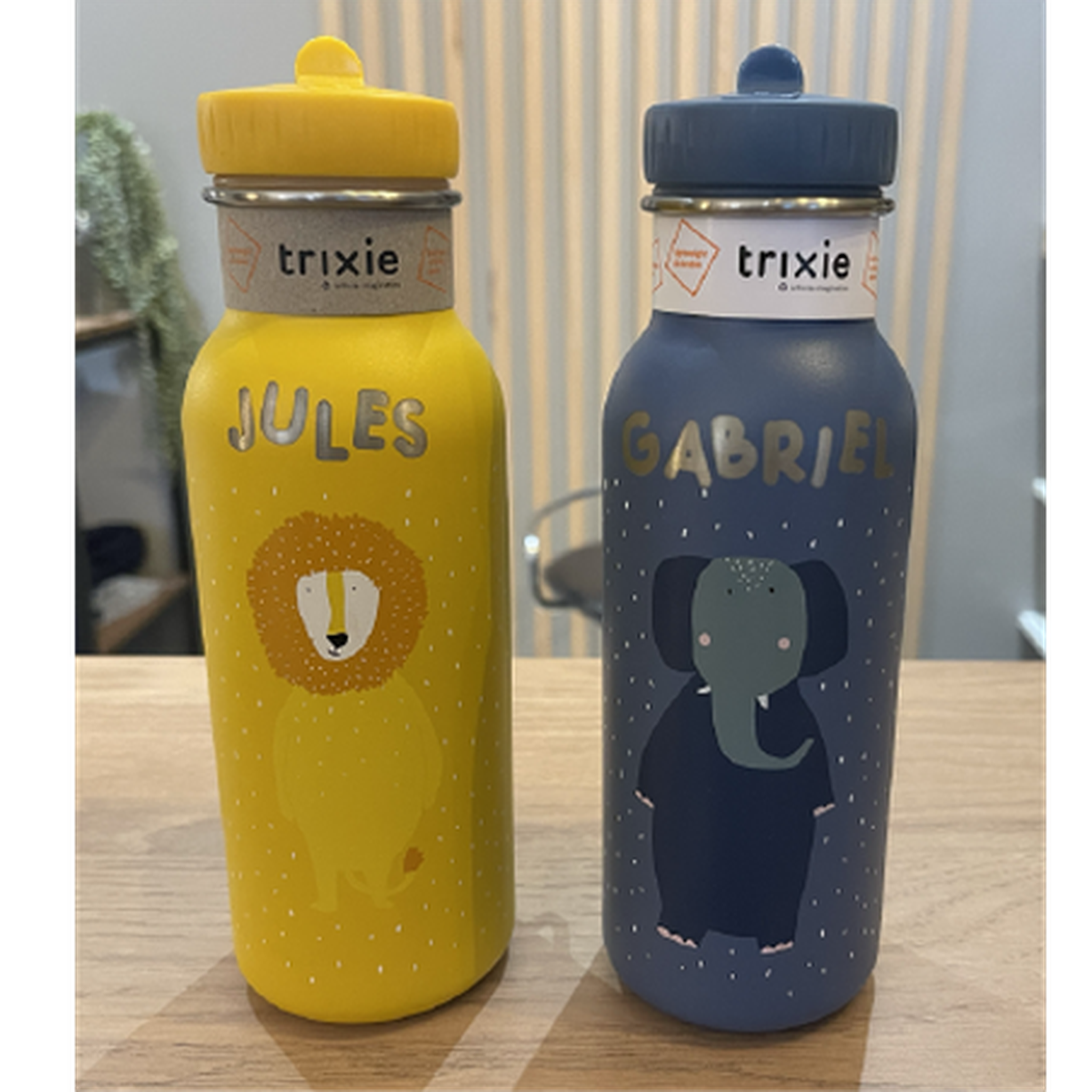 Gourde 500ml - Mr Eléphant